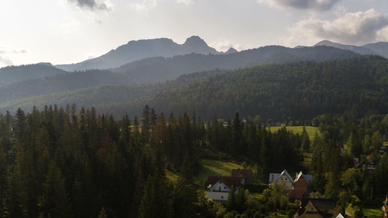 Willa Cichy Potok Zakopane Dış mekan fotoğraf